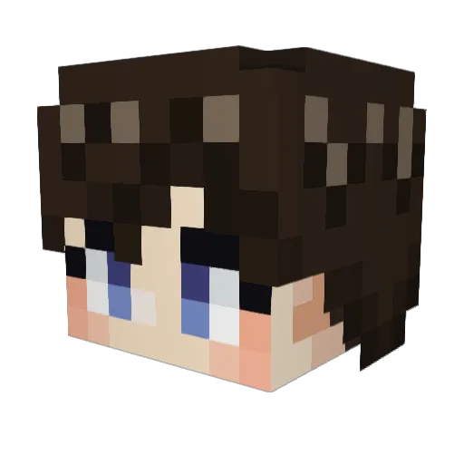 parkjubin Minecraft avatar head, 3D render
