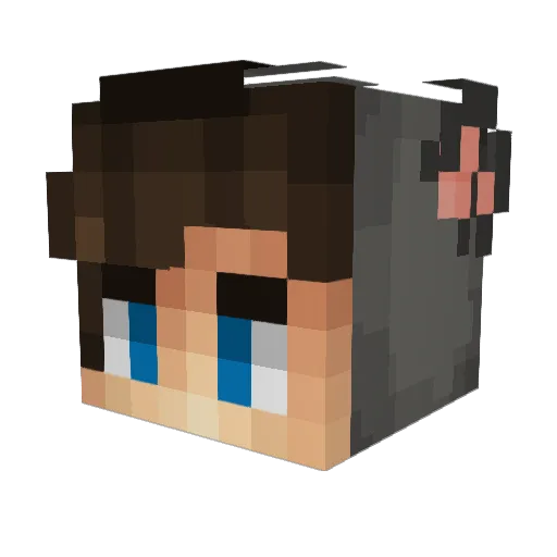 parkkyun Minecraft avatar head, 3D render