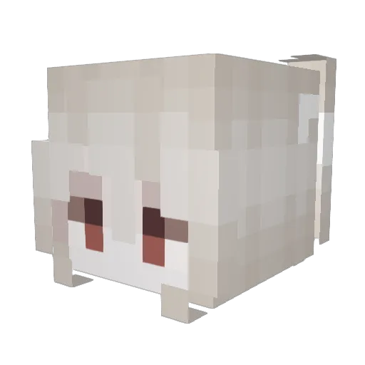 parkmarco Minecraft avatar head, 3D render