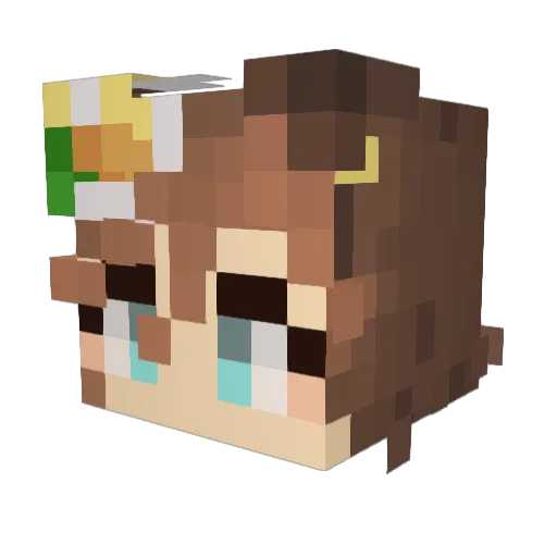 parkngg Minecraft avatar head, 3D render