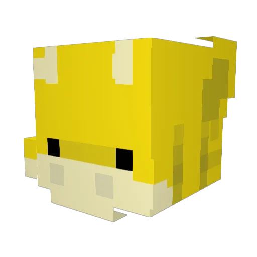 parkracken Minecraft avatar head, 3D render
