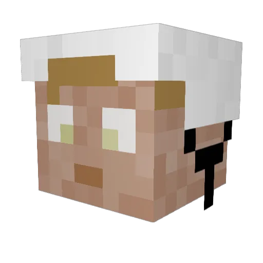 parks99 Minecraft avatar head, 3D render