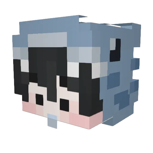 parkshark0915 Minecraft avatar head, 3D render