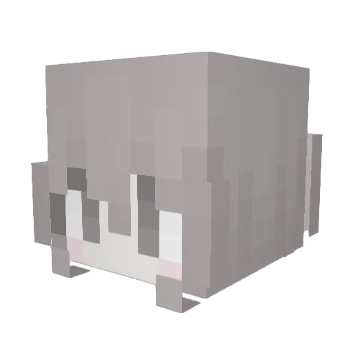 parksunggi Minecraft avatar head, 3D render
