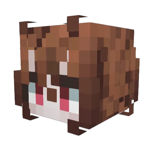 parl1ta Minecraft avatar head, 3D render