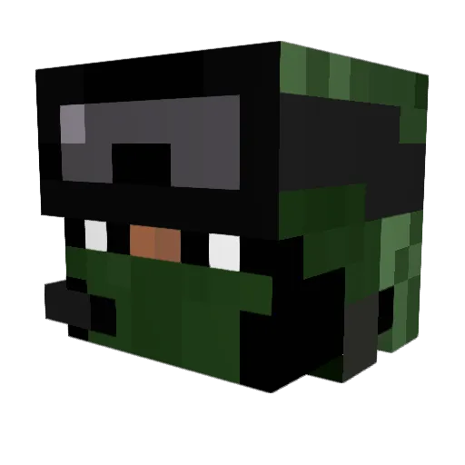 parlamentaqua Minecraft avatar head, 3D render