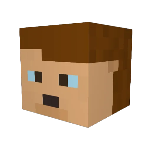 parmfry Minecraft avatar head, 3D render