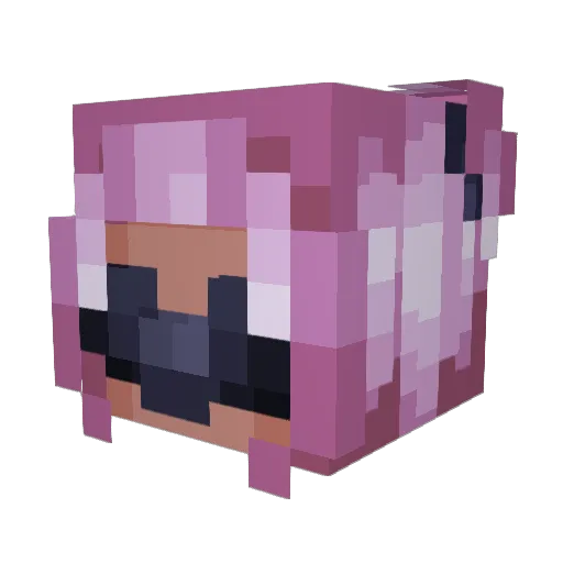 parpiiin Minecraft avatar head, 3D render