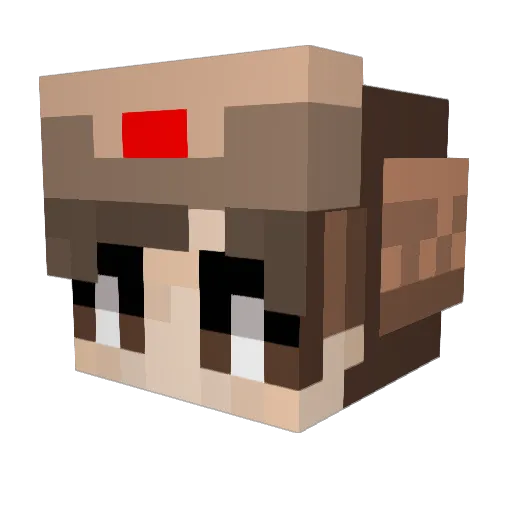 parrot007 Minecraft avatar head, 3D render