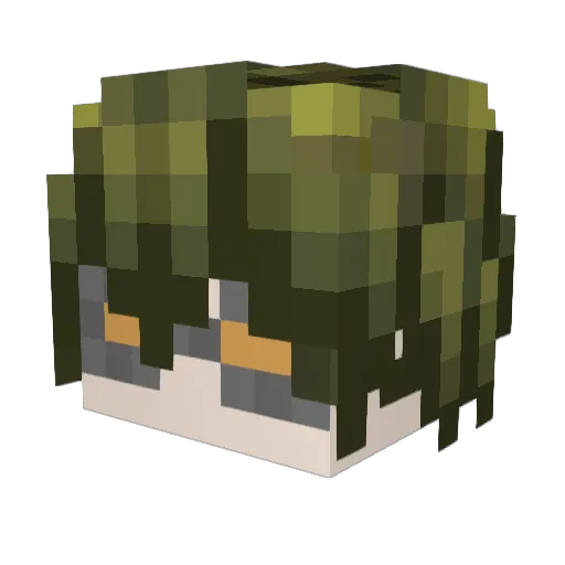 parrotX64 Minecraft avatar head, 3D render