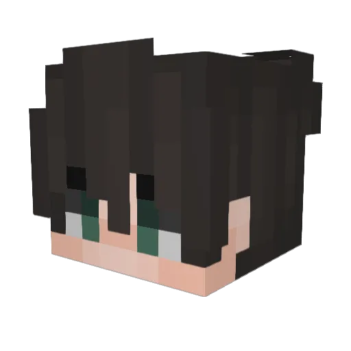 parrotek_ Minecraft avatar head, 3D render