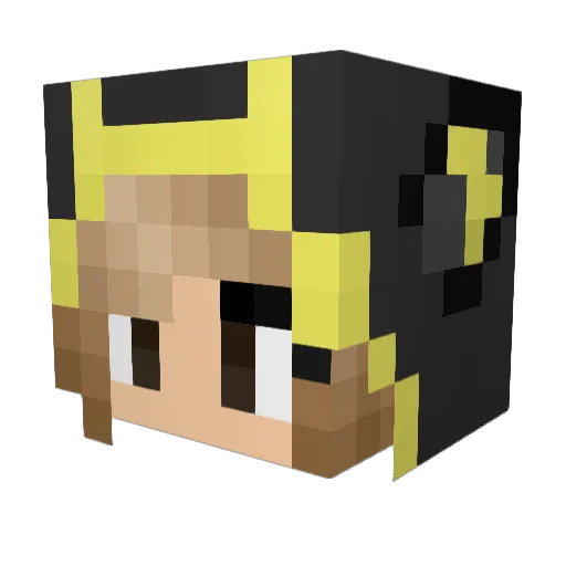 parrotlover360 Minecraft avatar head, 3D render