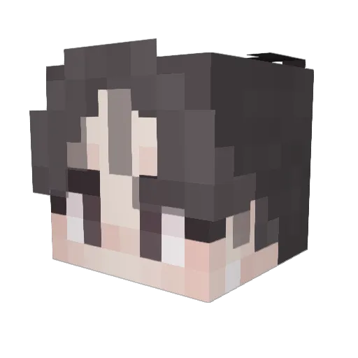 parrton Minecraft avatar head, 3D render