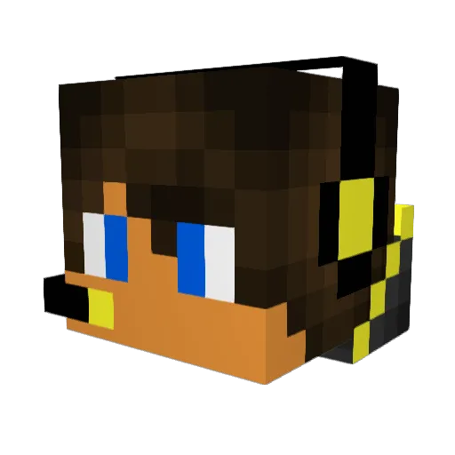 parsaparty30 Minecraft avatar head, 3D render