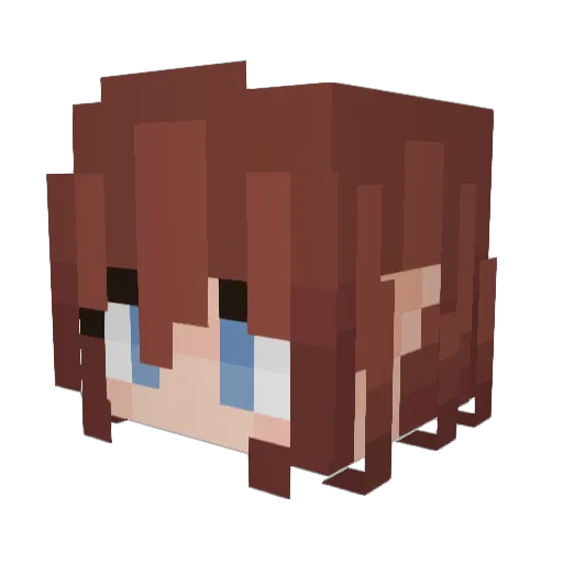 part_time_fool Minecraft avatar head, 3D render