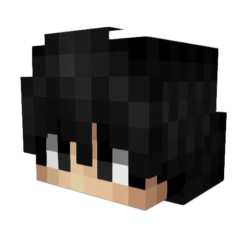 parter666 Minecraft avatar head, 3D render