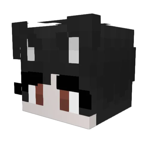 party251 Minecraft avatar head, 3D render