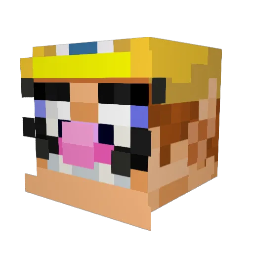 party6765 Minecraft avatar head, 3D render