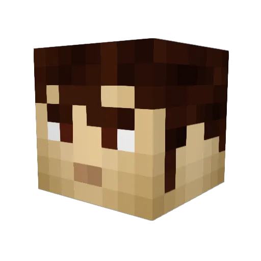 party_sub Minecraft avatar head, 3D render