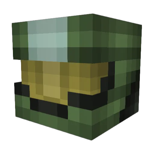 partyanimal911 Minecraft avatar head, 3D render