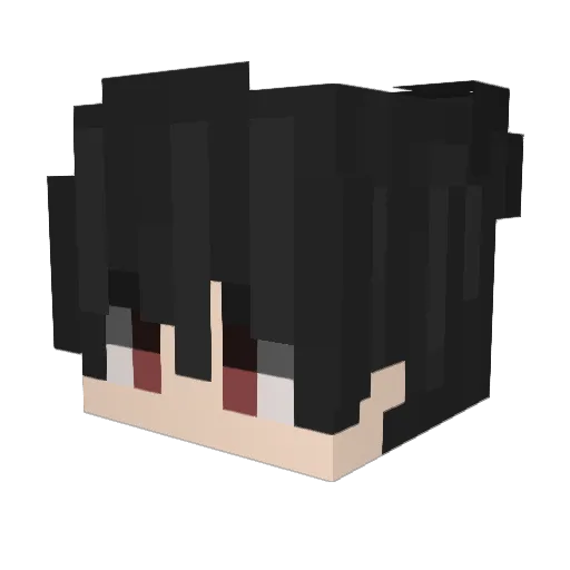 partybruiser Minecraft avatar head, 3D render
