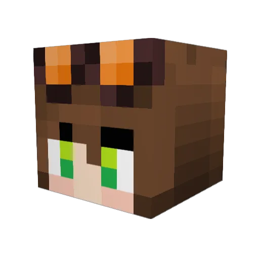partyingpj Minecraft avatar head, 3D render