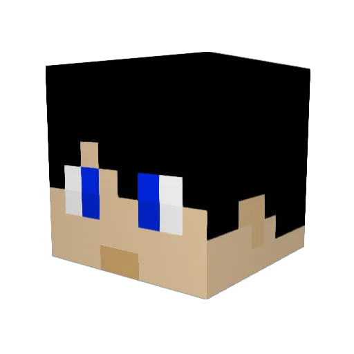 partylmfao Minecraft avatar head, 3D render
