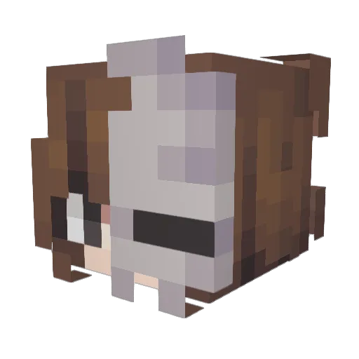 partyover Minecraft avatar head, 3D render