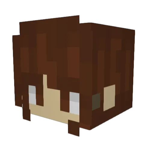 partypigeon7974 Minecraft avatar head, 3D render