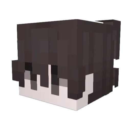 partypineapple93 Minecraft avatar head, 3D render