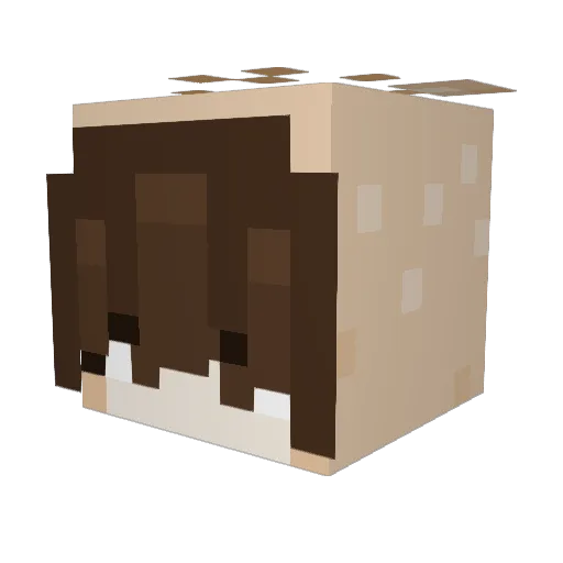 paru_parfait Minecraft avatar head, 3D render