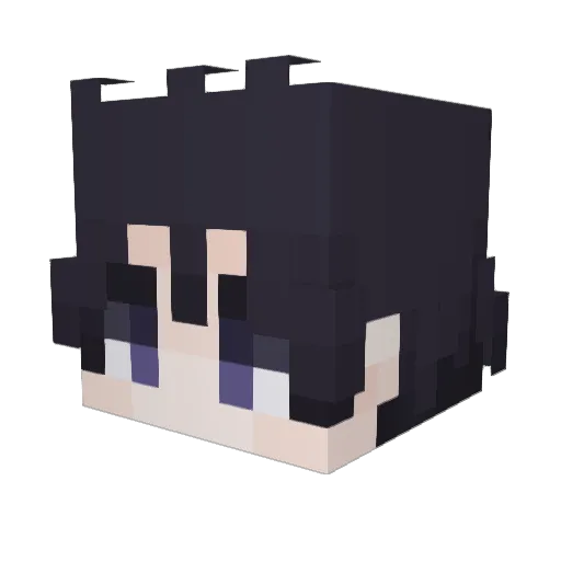 parxboiz Minecraft avatar head, 3D render