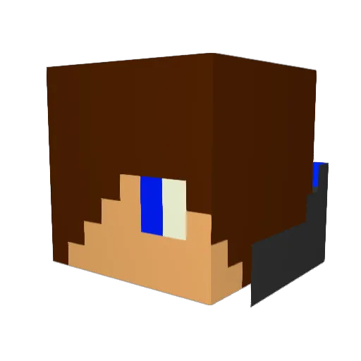 pascal3010 Minecraft avatar head, 3D render