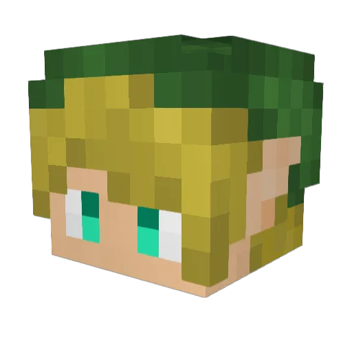 paschn Minecraft avatar head, 3D render