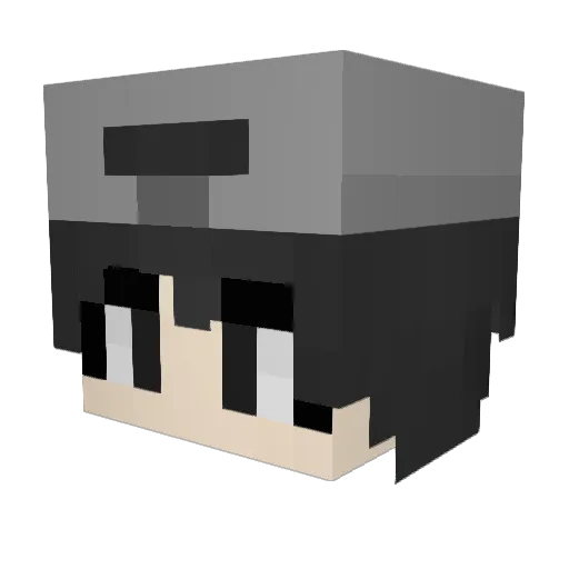 pasdfjl Minecraft avatar head, 3D render