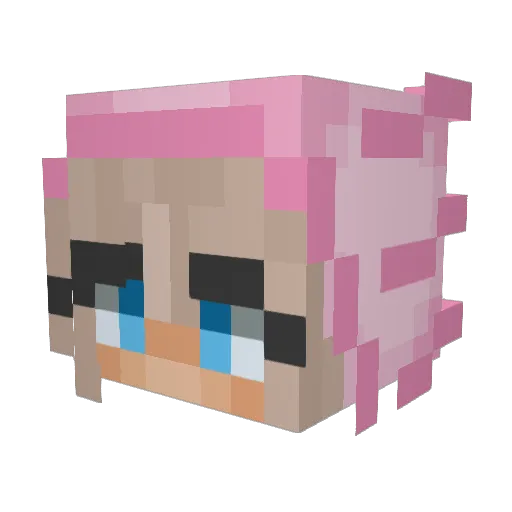 pasdjdfshah Minecraft avatar head, 3D render