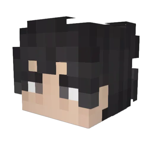 pasha2286 Minecraft avatar head, 3D render