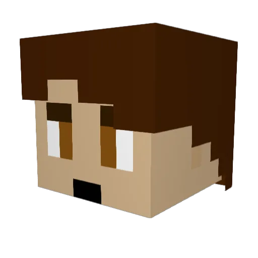 pashh551 Minecraft avatar head, 3D render
