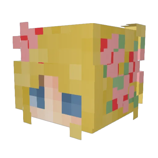 pasifaca26 Minecraft avatar head, 3D render