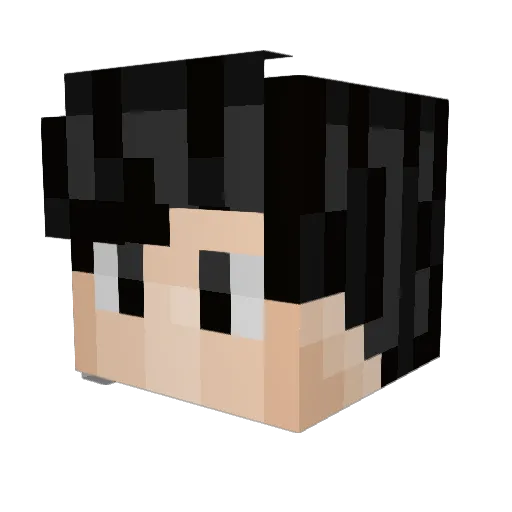 pasilein Minecraft avatar head, 3D render