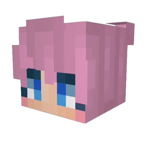pasketti Minecraft avatar head, 3D render