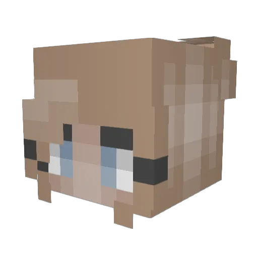 pasley01 Minecraft avatar head, 3D render