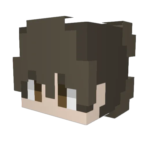 pasoboy Minecraft avatar head, 3D render