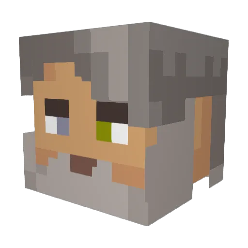 passOe Minecraft avatar head, 3D render