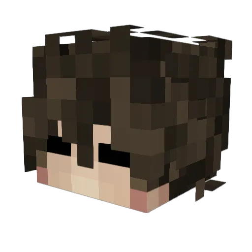 passcodex Minecraft avatar head, 3D render