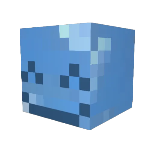 passer0 Minecraft avatar head, 3D render