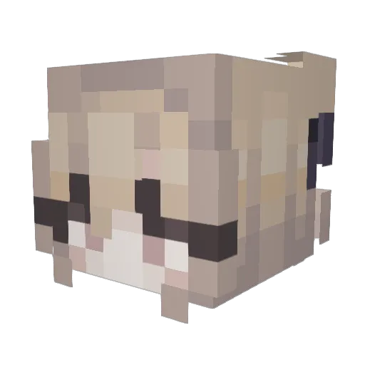 passttt Minecraft avatar head, 3D render