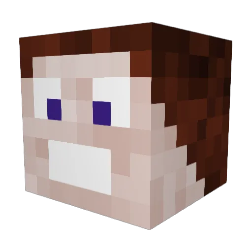 past04 Minecraft avatar head, 3D render