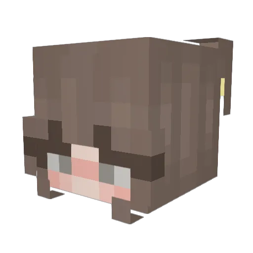 pastabeforewar Minecraft avatar head, 3D render