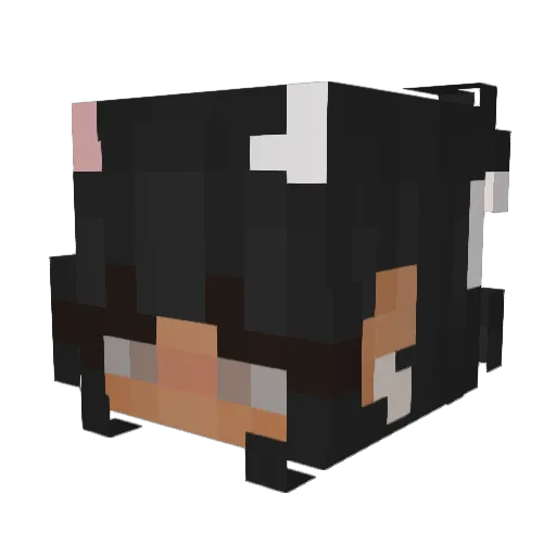 pasteltwice Minecraft avatar head, 3D render